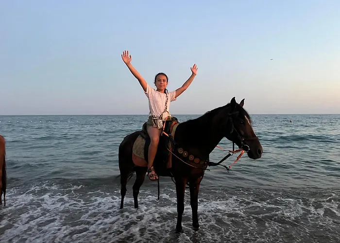 Rodeo Horse Club Altinkum (Antalya)