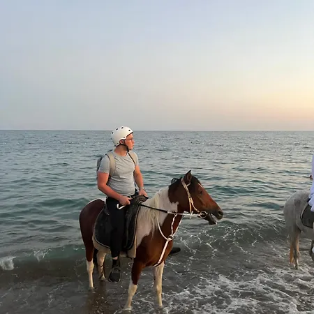 Campsite Rodeo Horse Club Altinkum (Antalya)